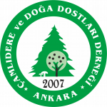 cddd_logo